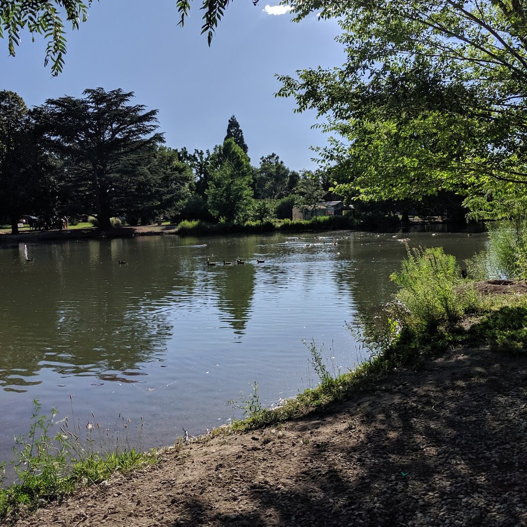 Idlewild Park 3