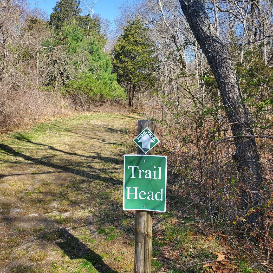 Laurel Lake Preserve 2