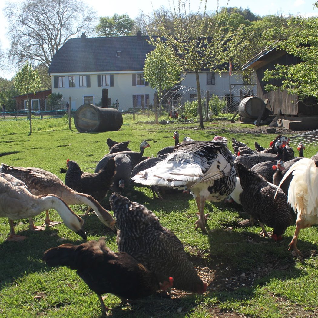 La Ferme du Bonheur - Chez l'Gaby 3