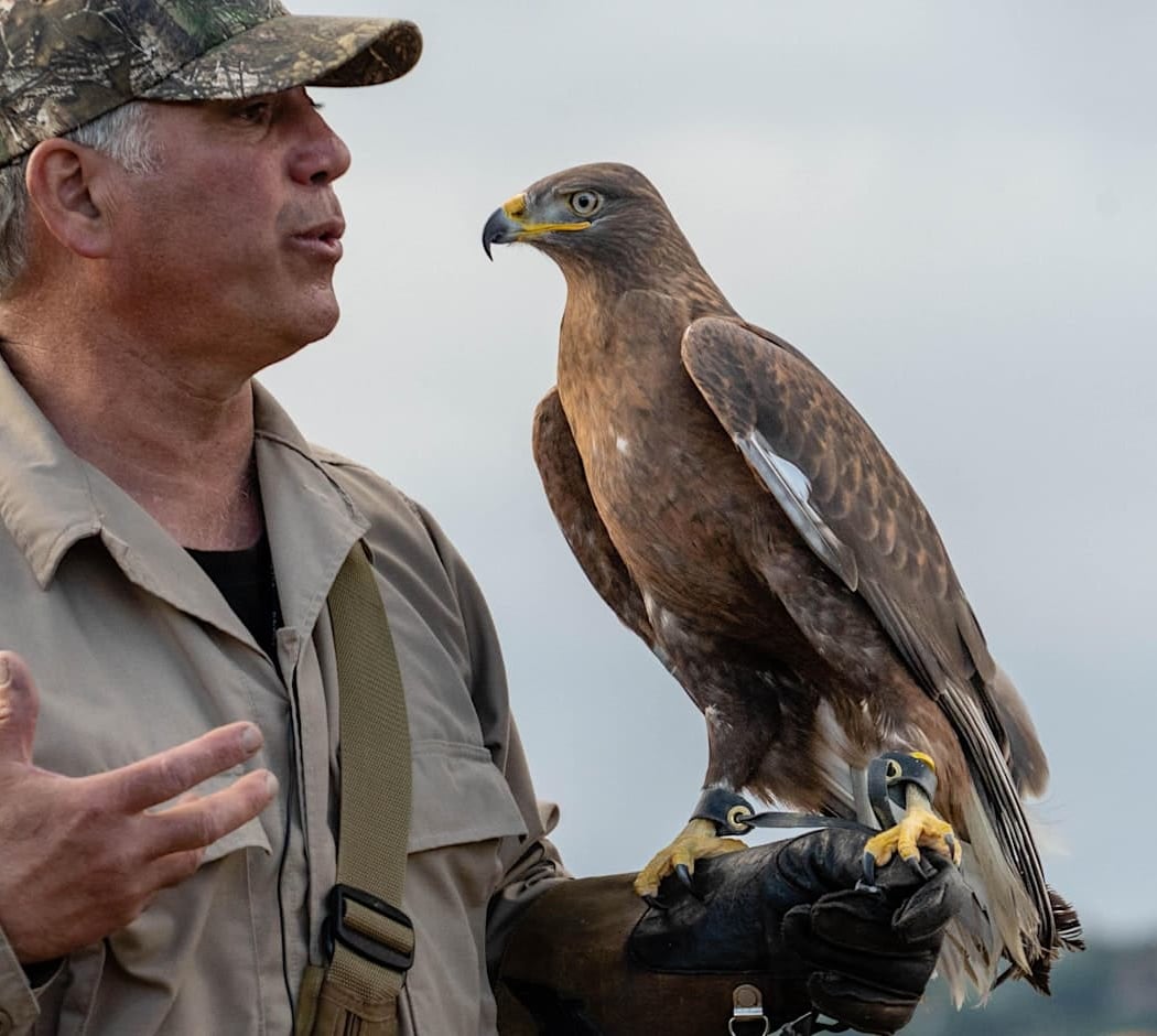 Peninsula Open Space Trust: Raptor Encounter 1