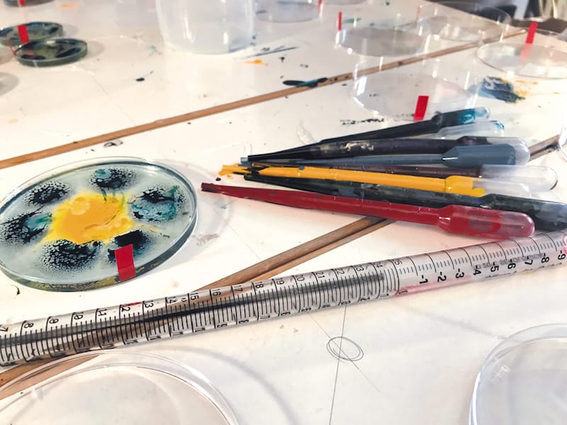 In Vitro - Exposition 1