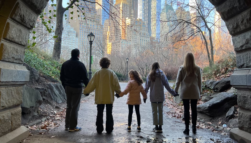 Central Park 3