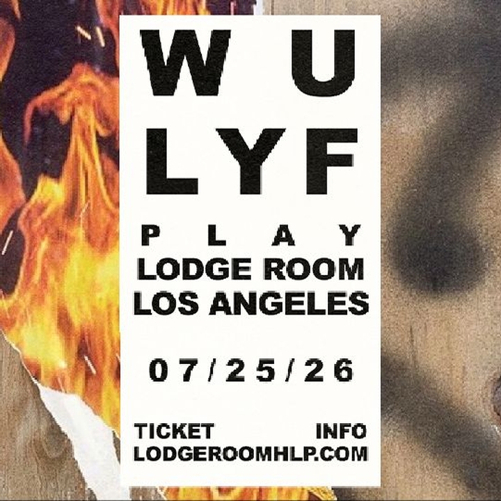 Wu Lyf 1