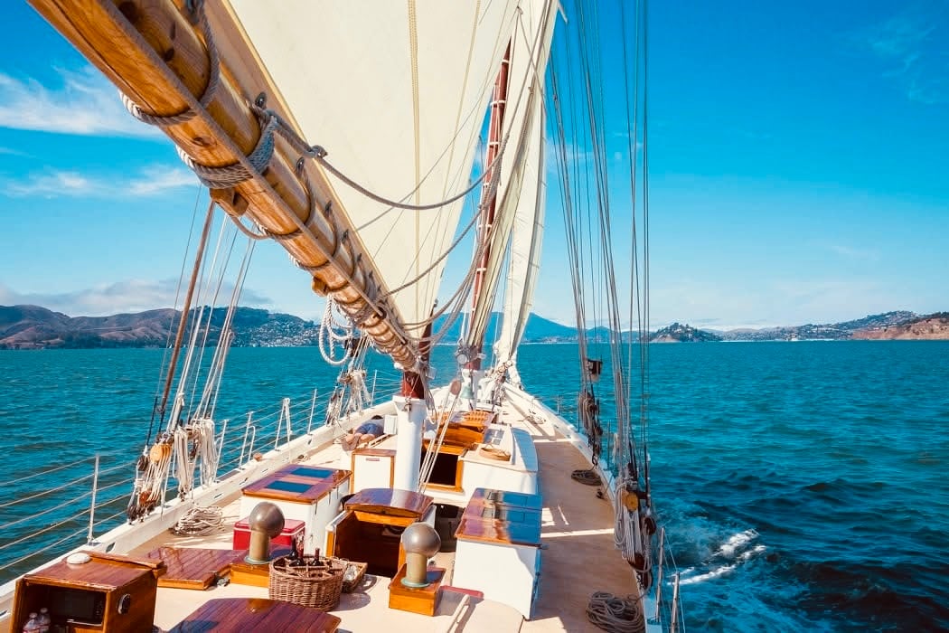 Wildlife Sail under the Golden Gate Bridge 4