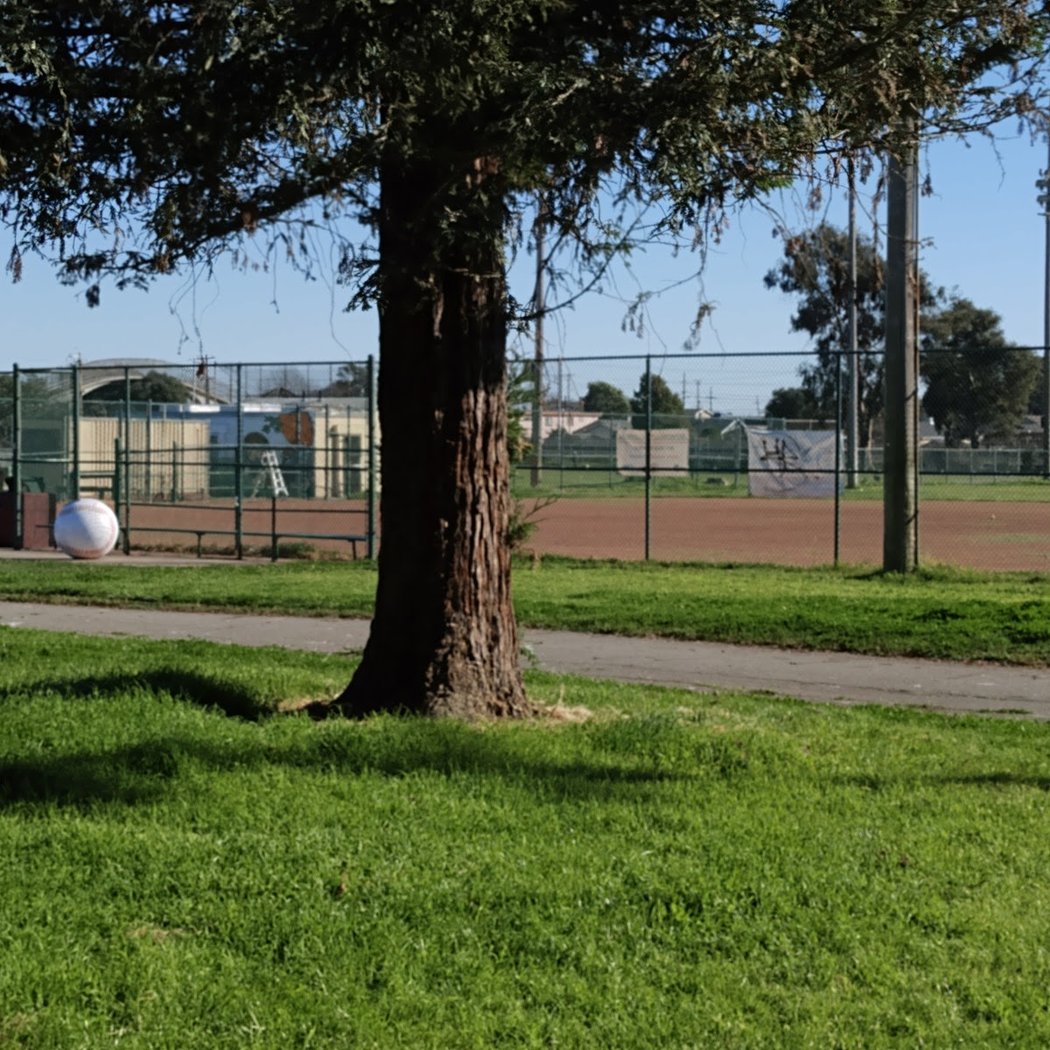Nicholl Park 2