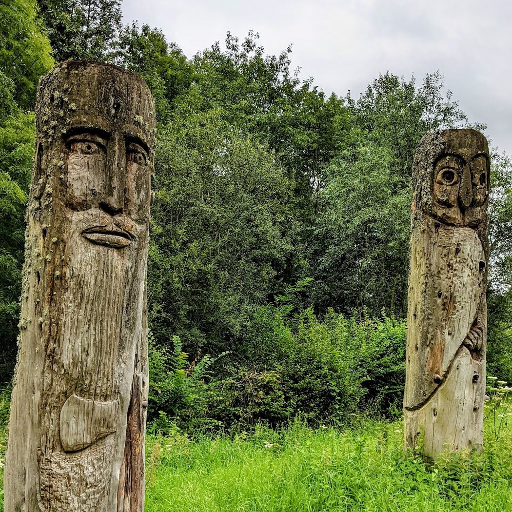 Forêt de Ferrières 2