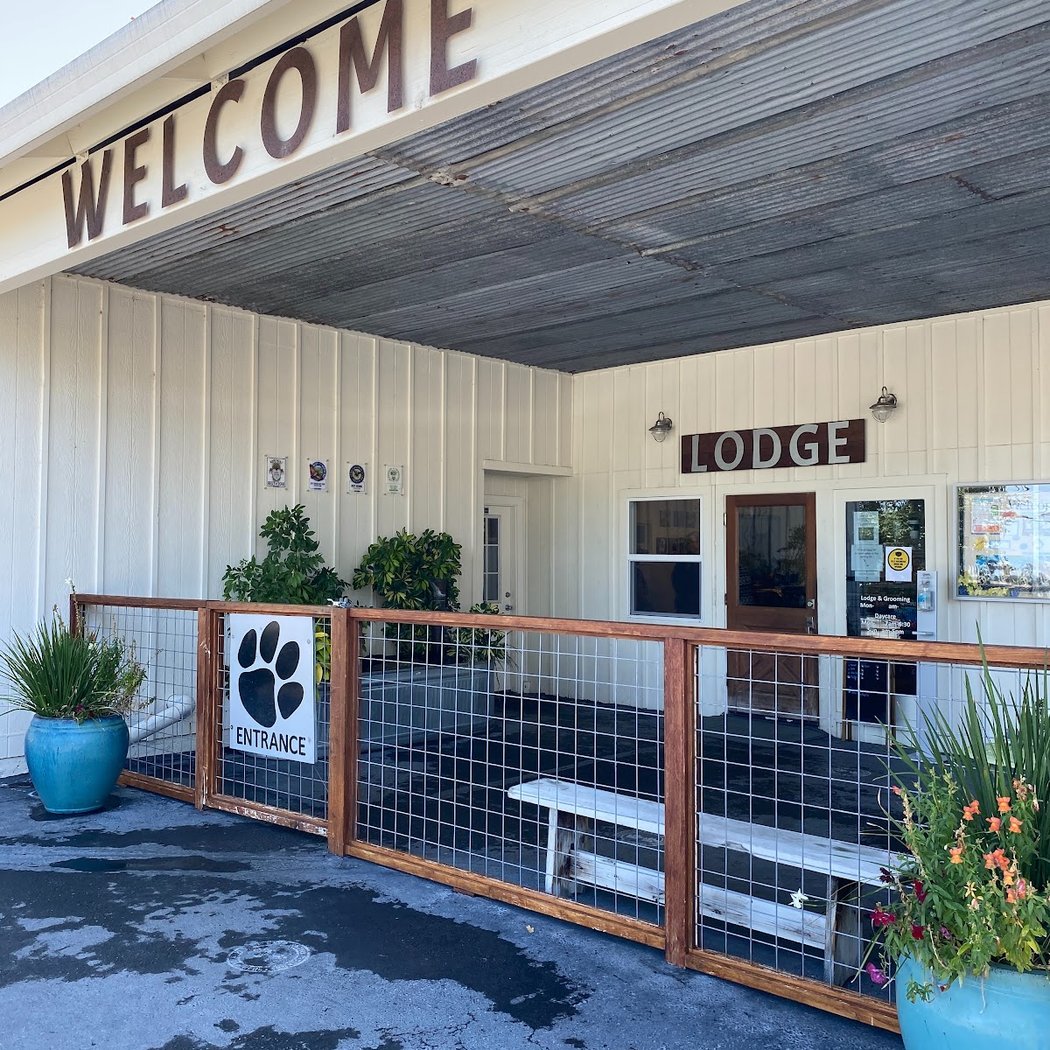 K9 Activity Club 2