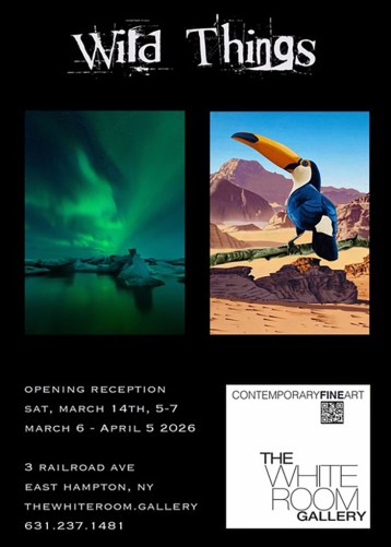 Stephen Hall Wild Things Art Show 1