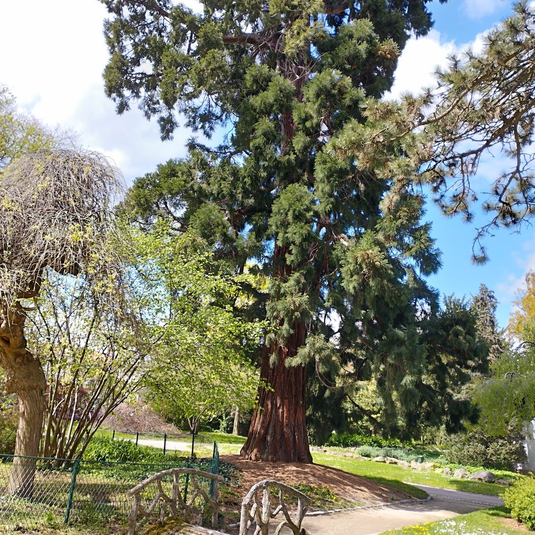 Olry Park, Nancy 3