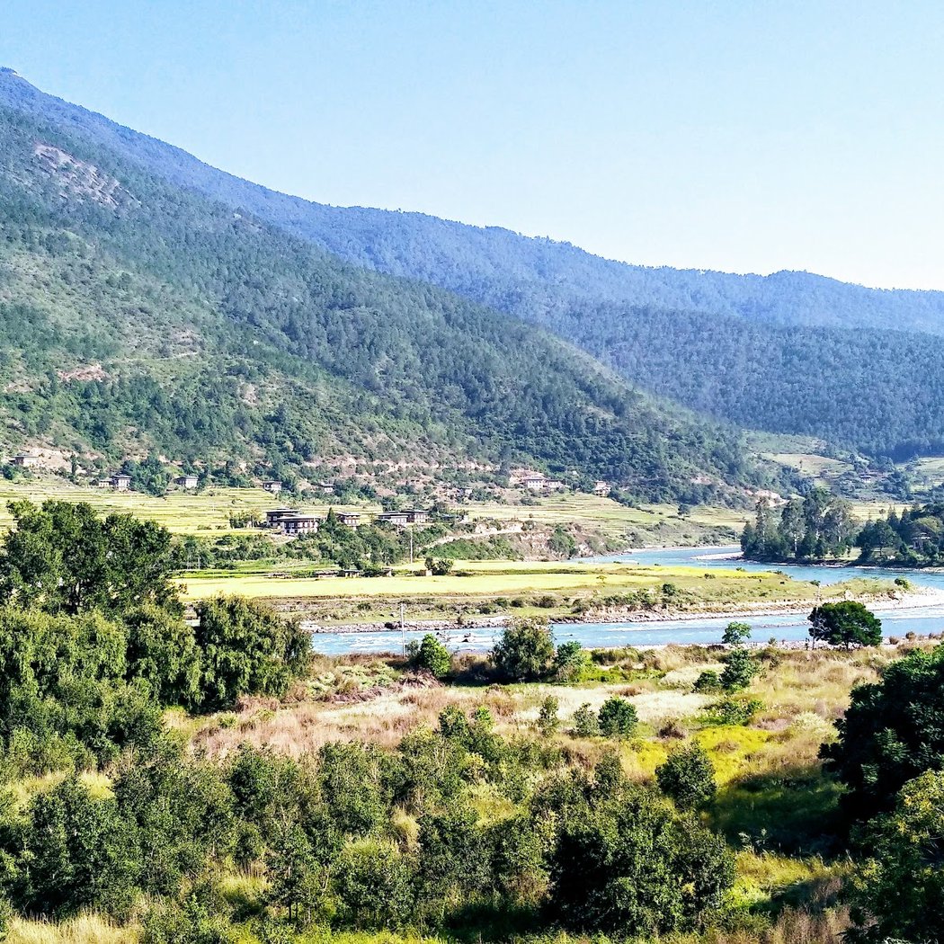 Paro 2