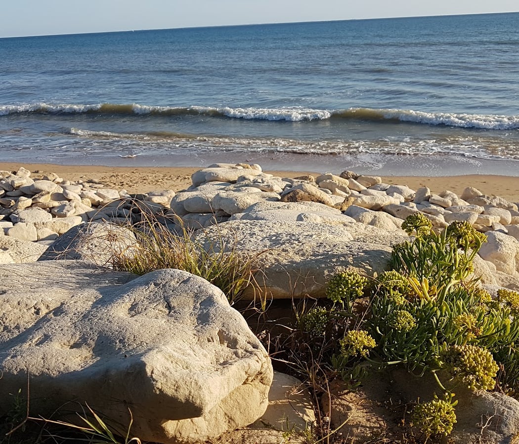 La Tranche-sur-Mer 1