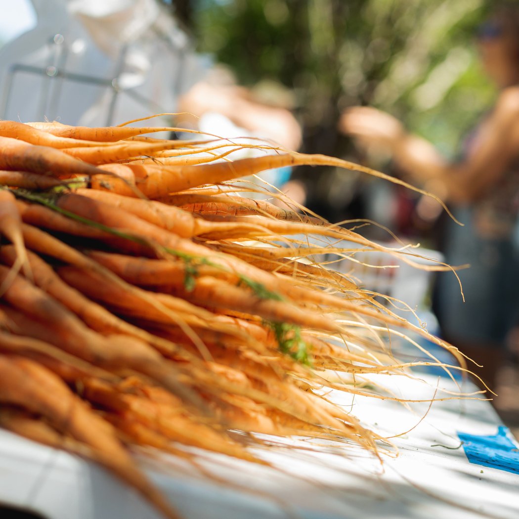 Palafox Market 1
