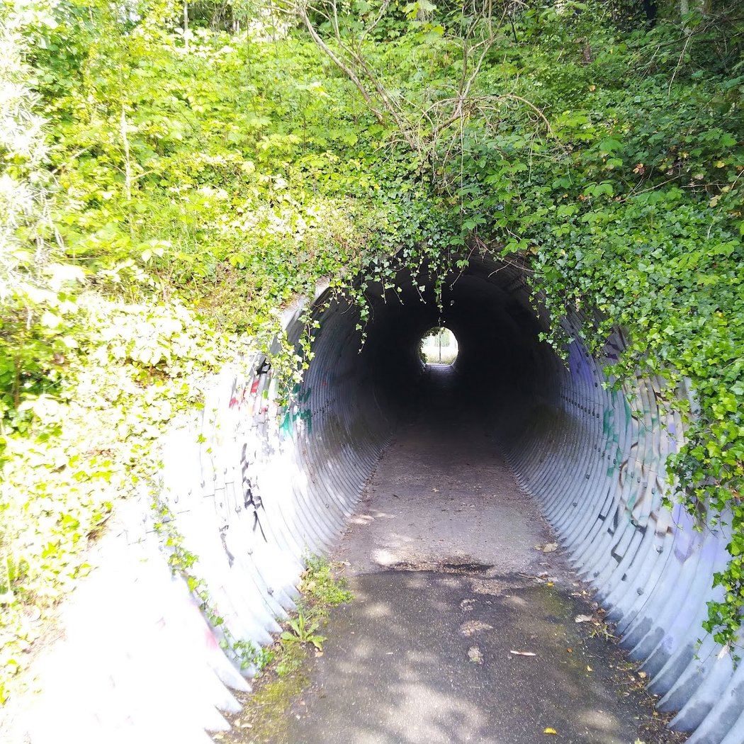 Le Perray-en-Yvelines 2