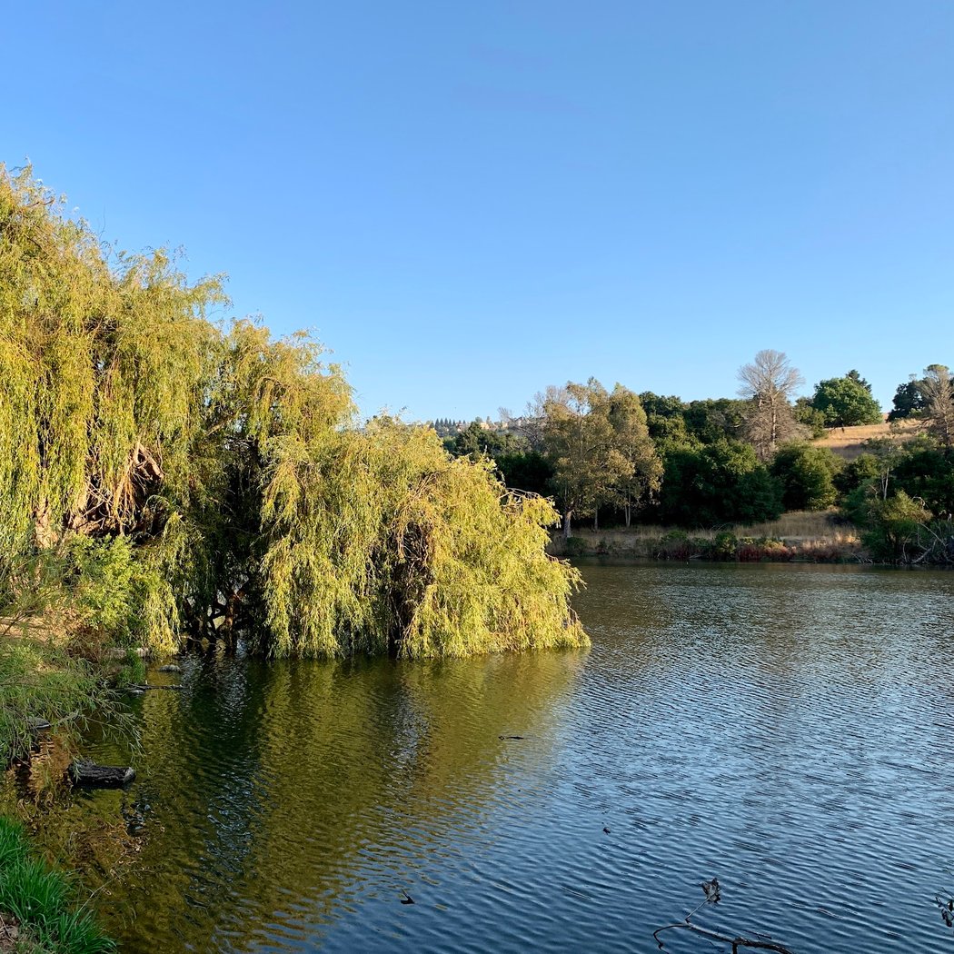 Airpoint Trail 3