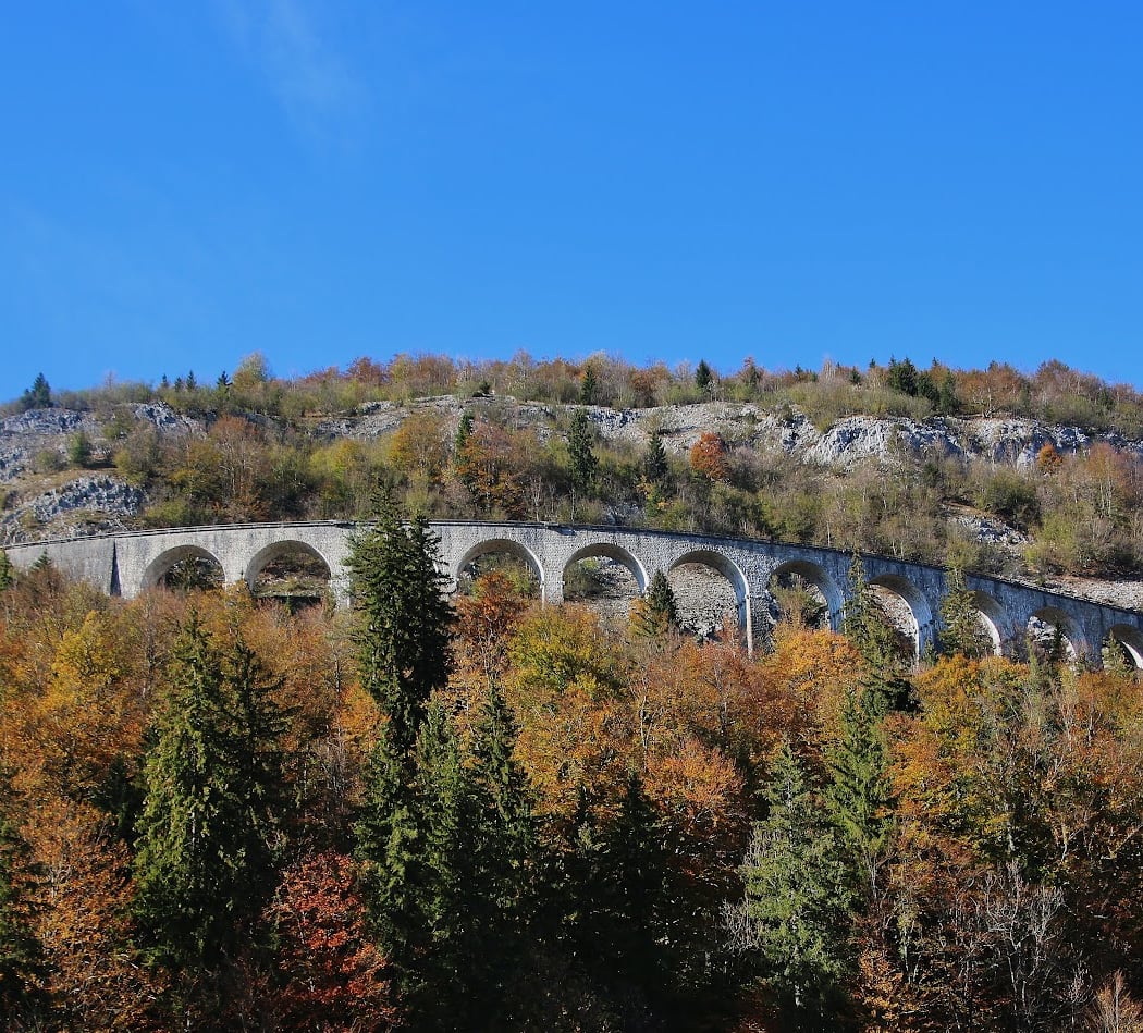 Morbier 1
