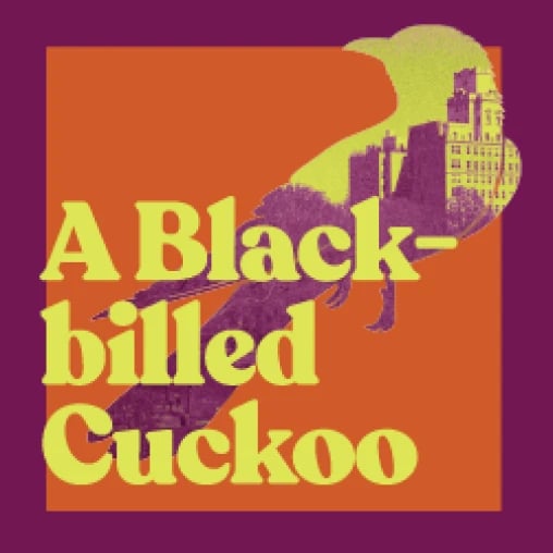 A Black-billed Cuckoo