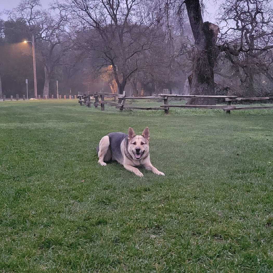 Doyle Community Park 3