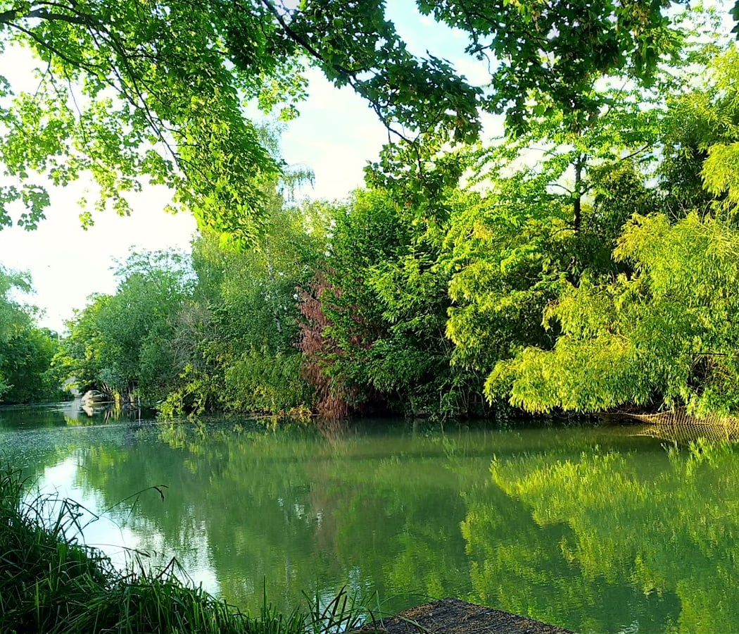 Parc de l'Île des Ravageurs 1