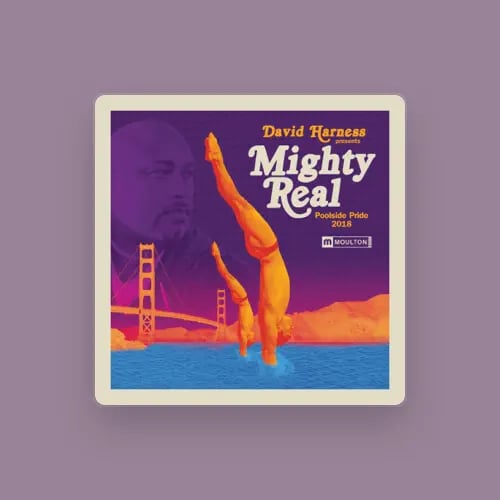 David Harness 1