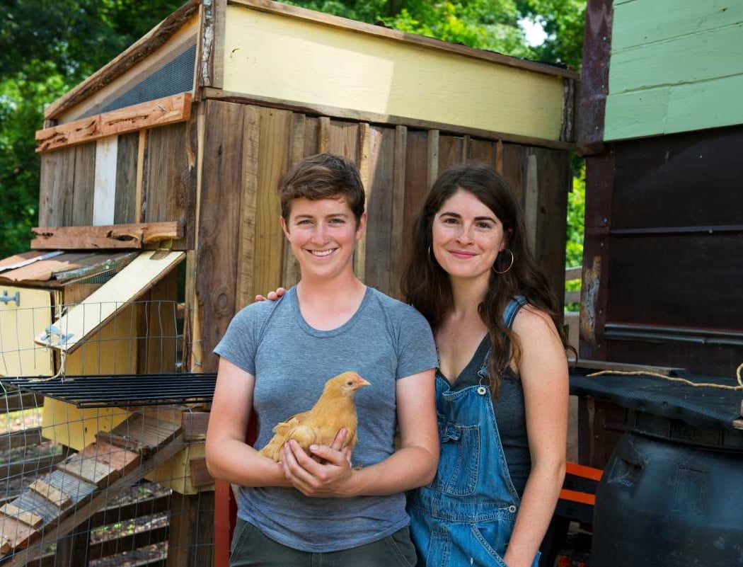 Tara Firma Farms 2