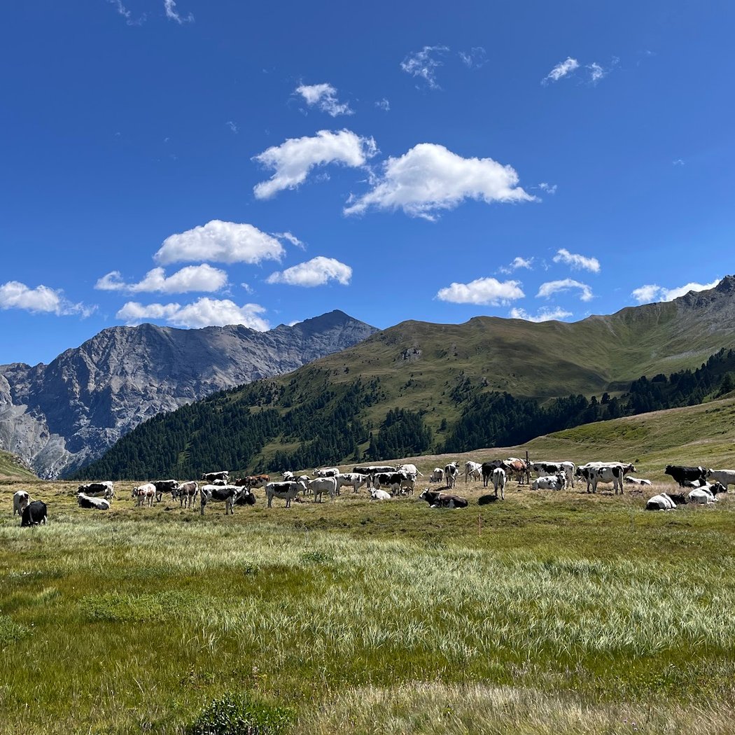 Les fonts de Cervieres 2