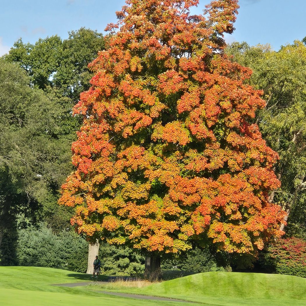 Wykagyl Country Club 3