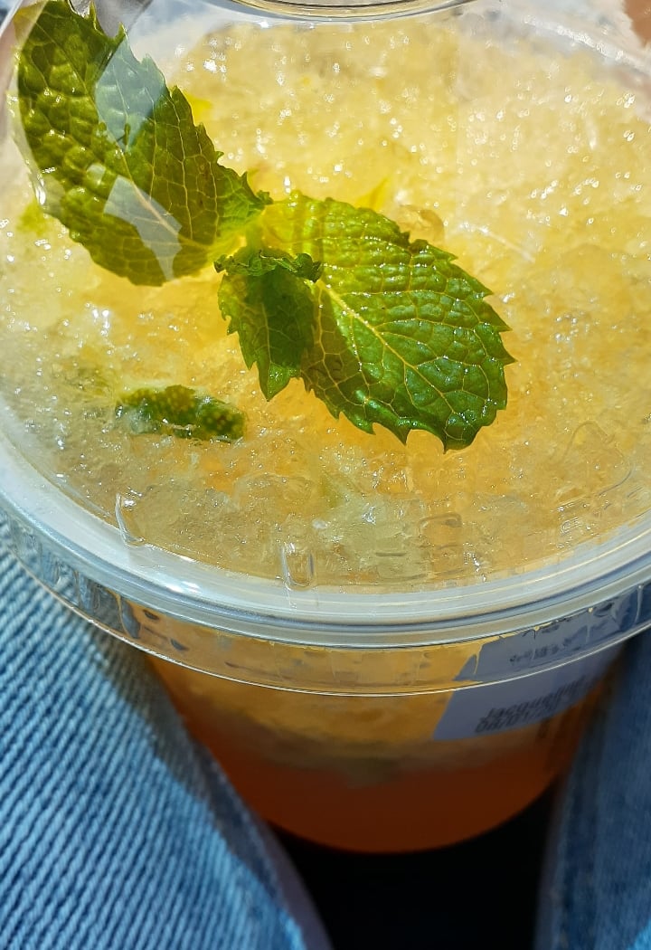 Sharetea 1