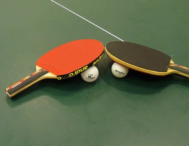 Stage Tennis de Table et Multi Activités 1