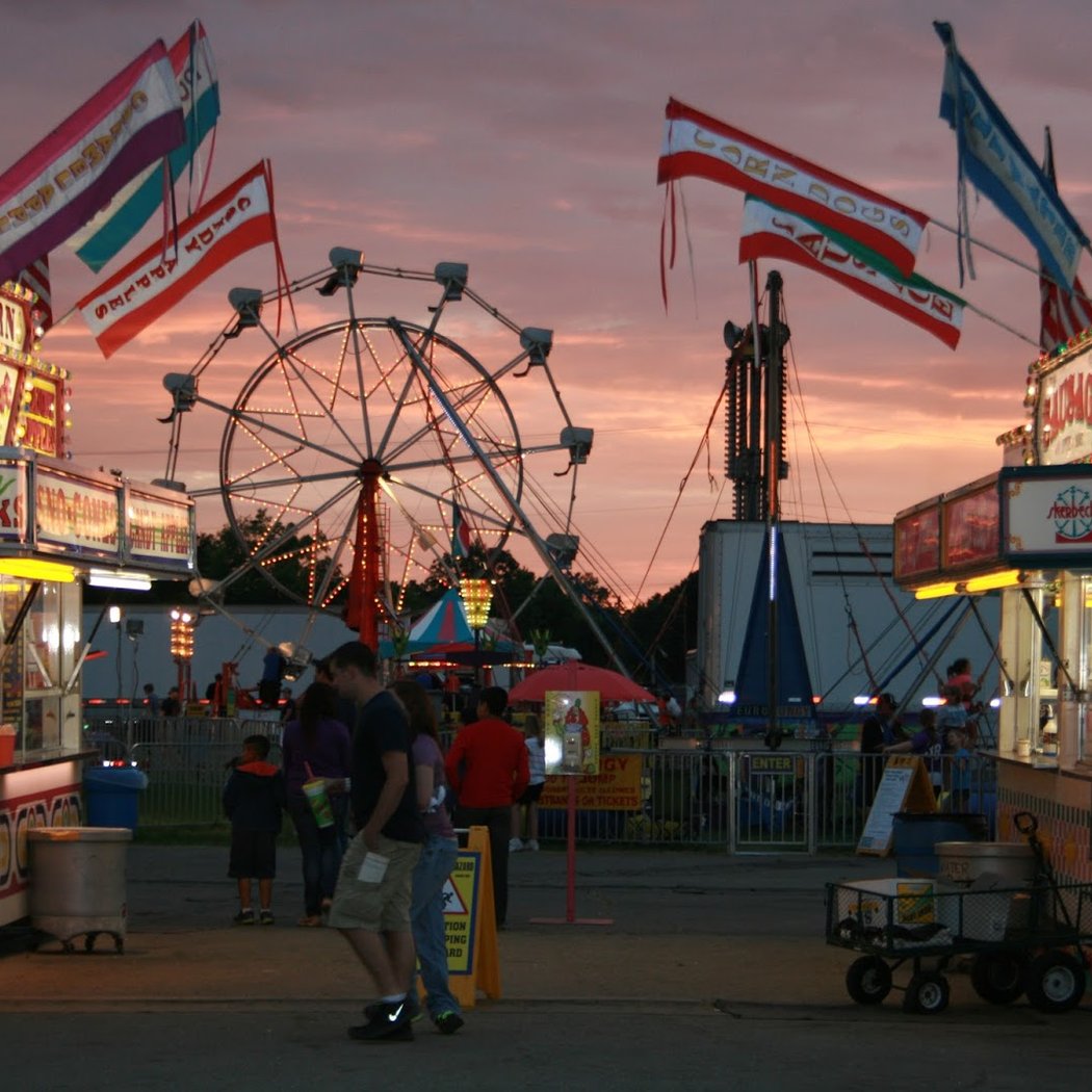 Fowlerville Family Fair 1