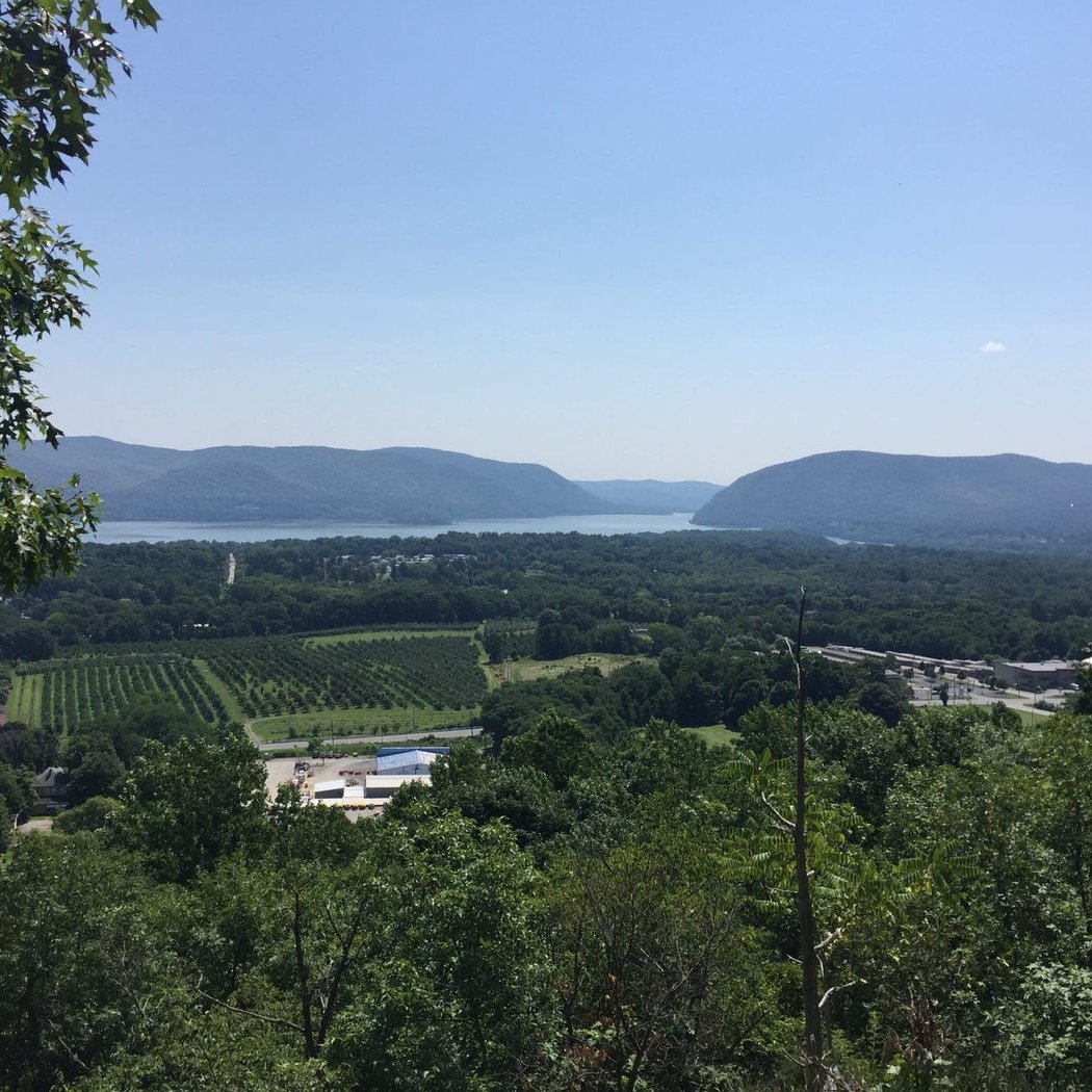 Snake Hill 1