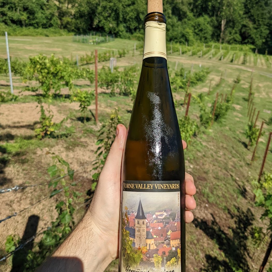Torne Valley Vineyard 1