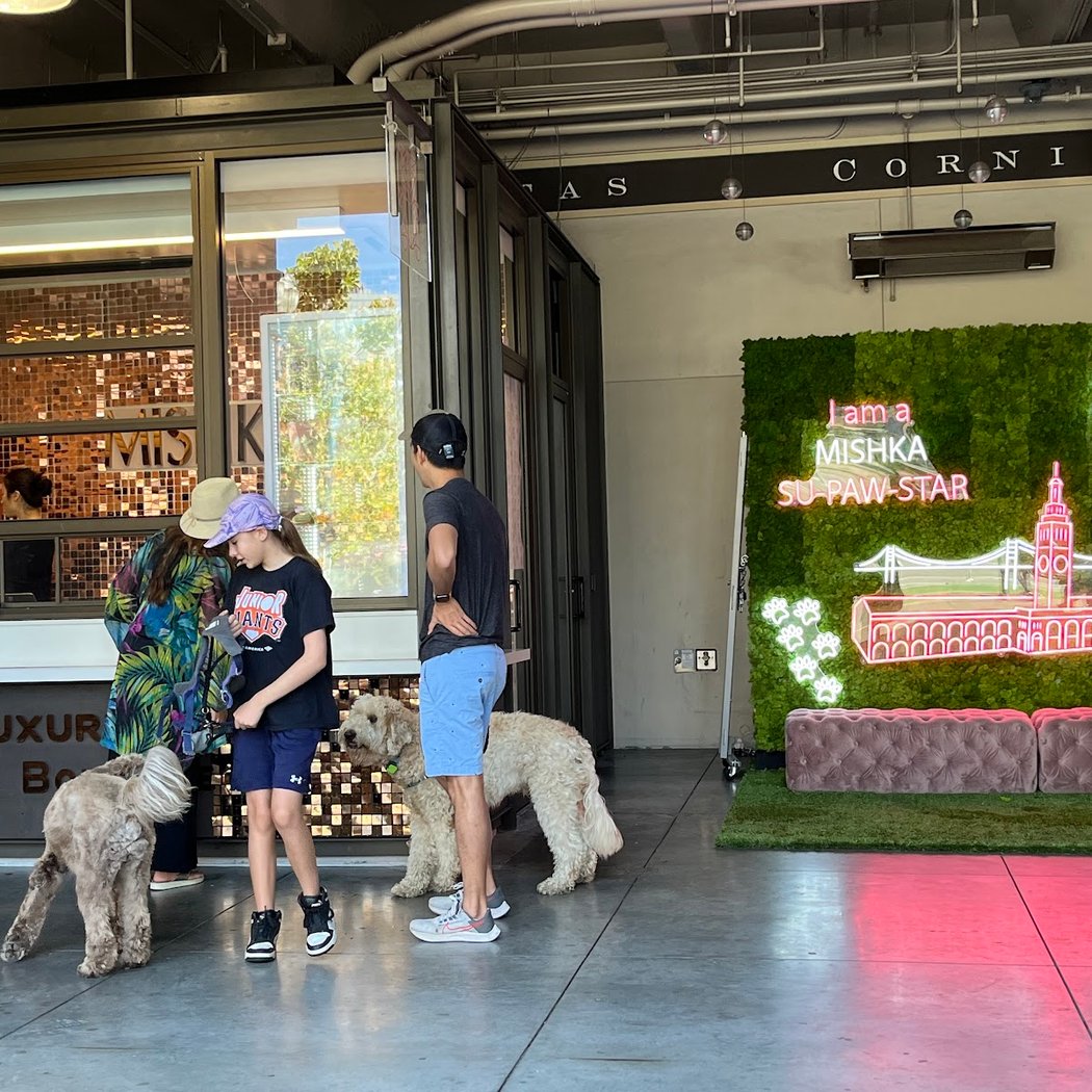 Mishka Dog Boutique (Ferry Building) 2
