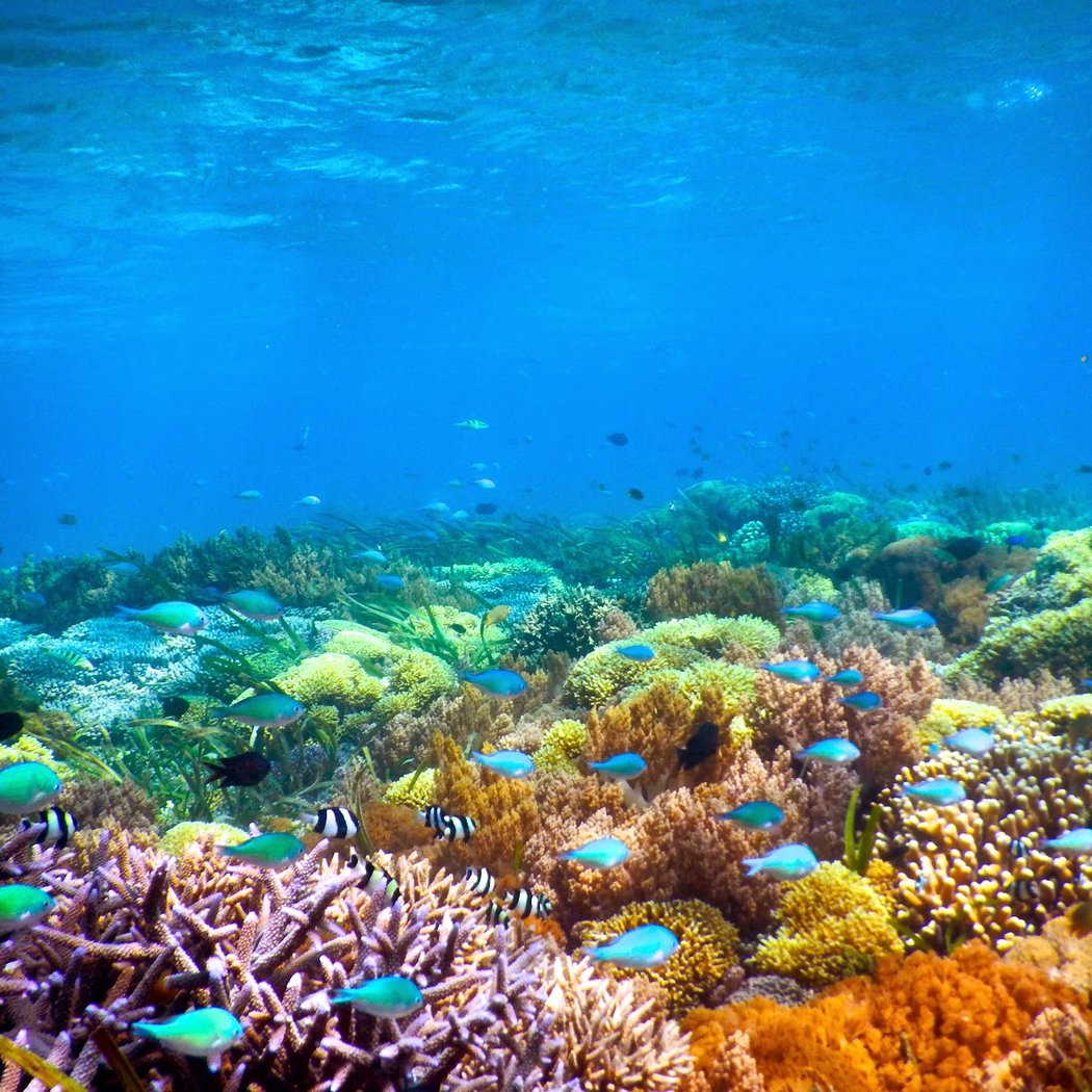 Gili Trawangan 1