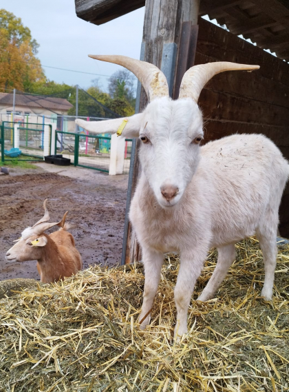 La Ferme Pédagogique 2