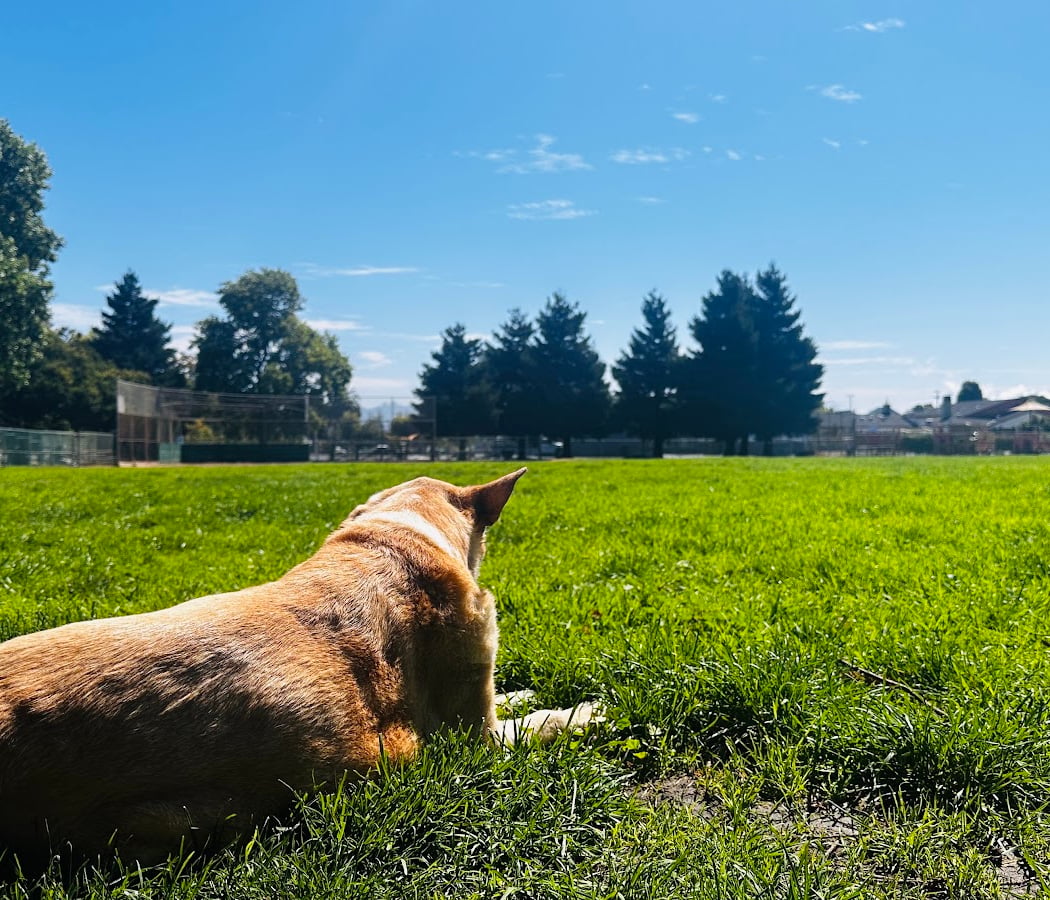 Judge George D Carroll Park 1