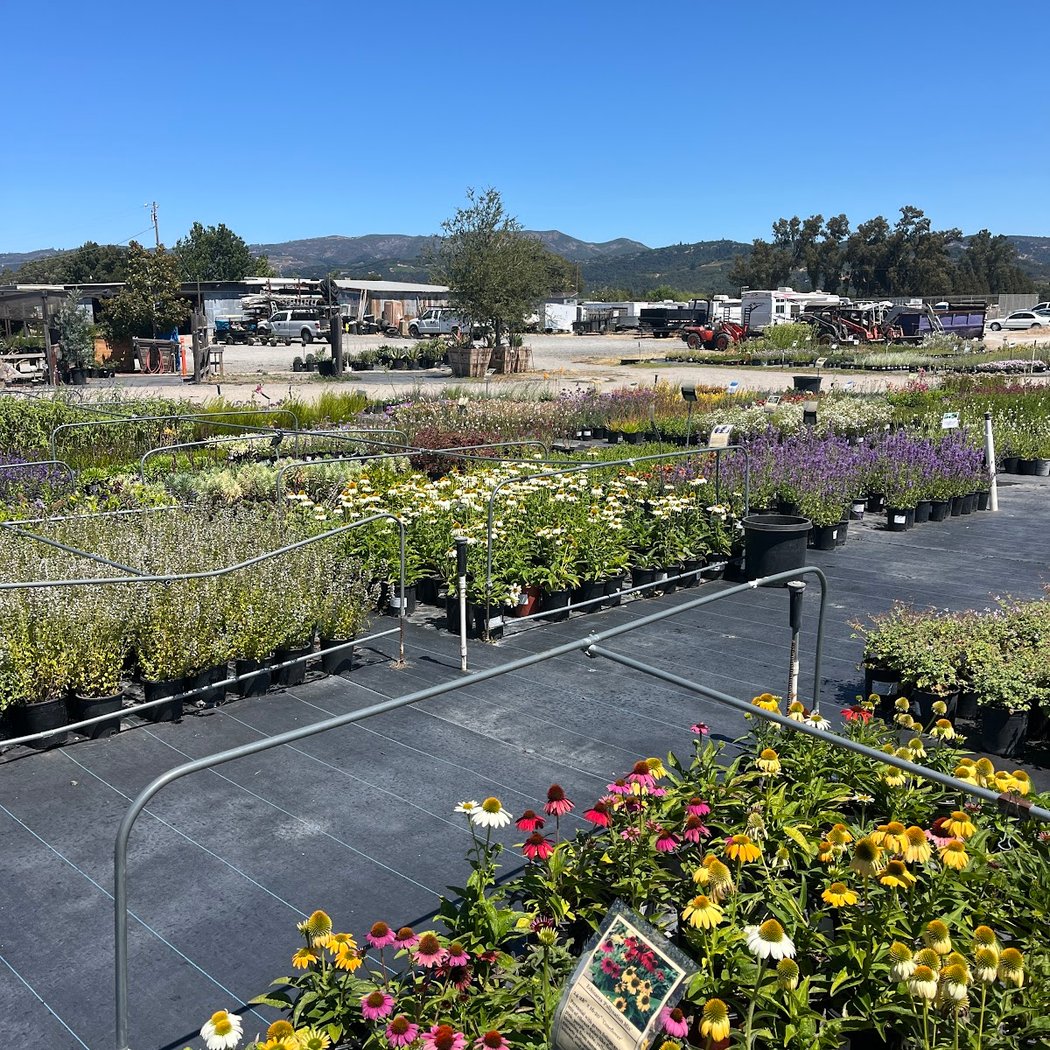 Sonoma Valley Wholesale Nursery 1
