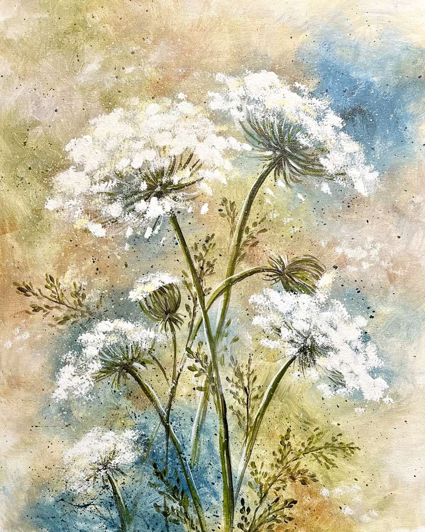White Lace Summer 1