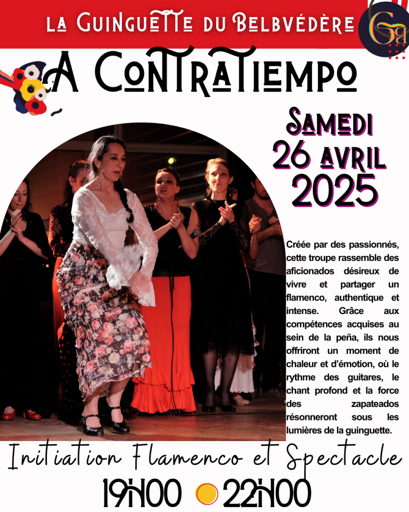 Troupe de flamenco, initiation et spectacle 1
