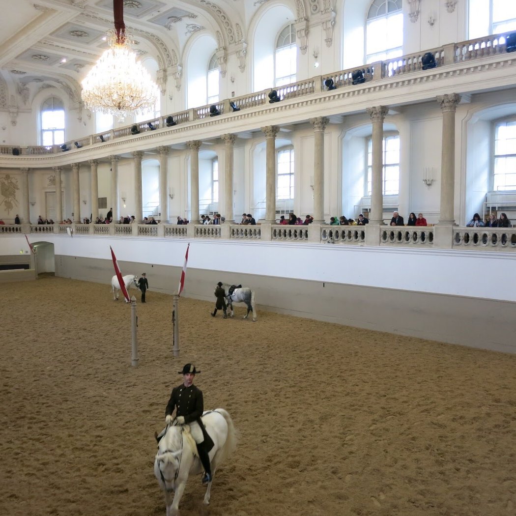 Spanish Riding School 2