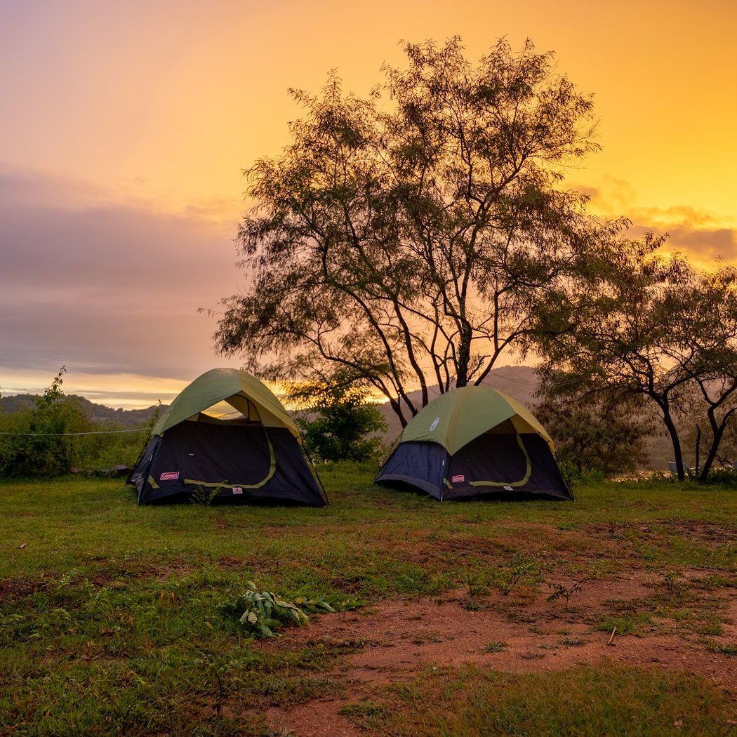 Avathi: Jungle Lodges (Kabini, Bandipur, etc), Farm Stays, Camping and Adventure Activities 1