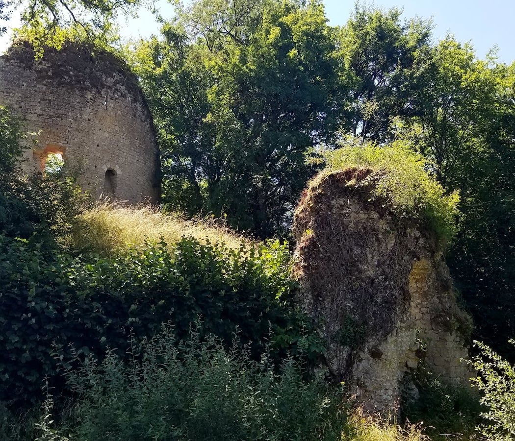 Ruines du Château de St-Verain 4
