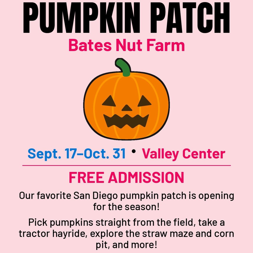 Bates Nut Farm Pumpkin Patch 3