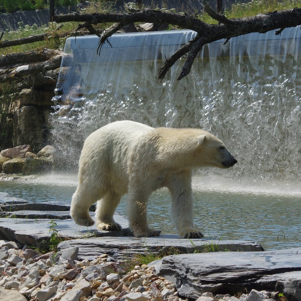 Zoo de Cerza 2