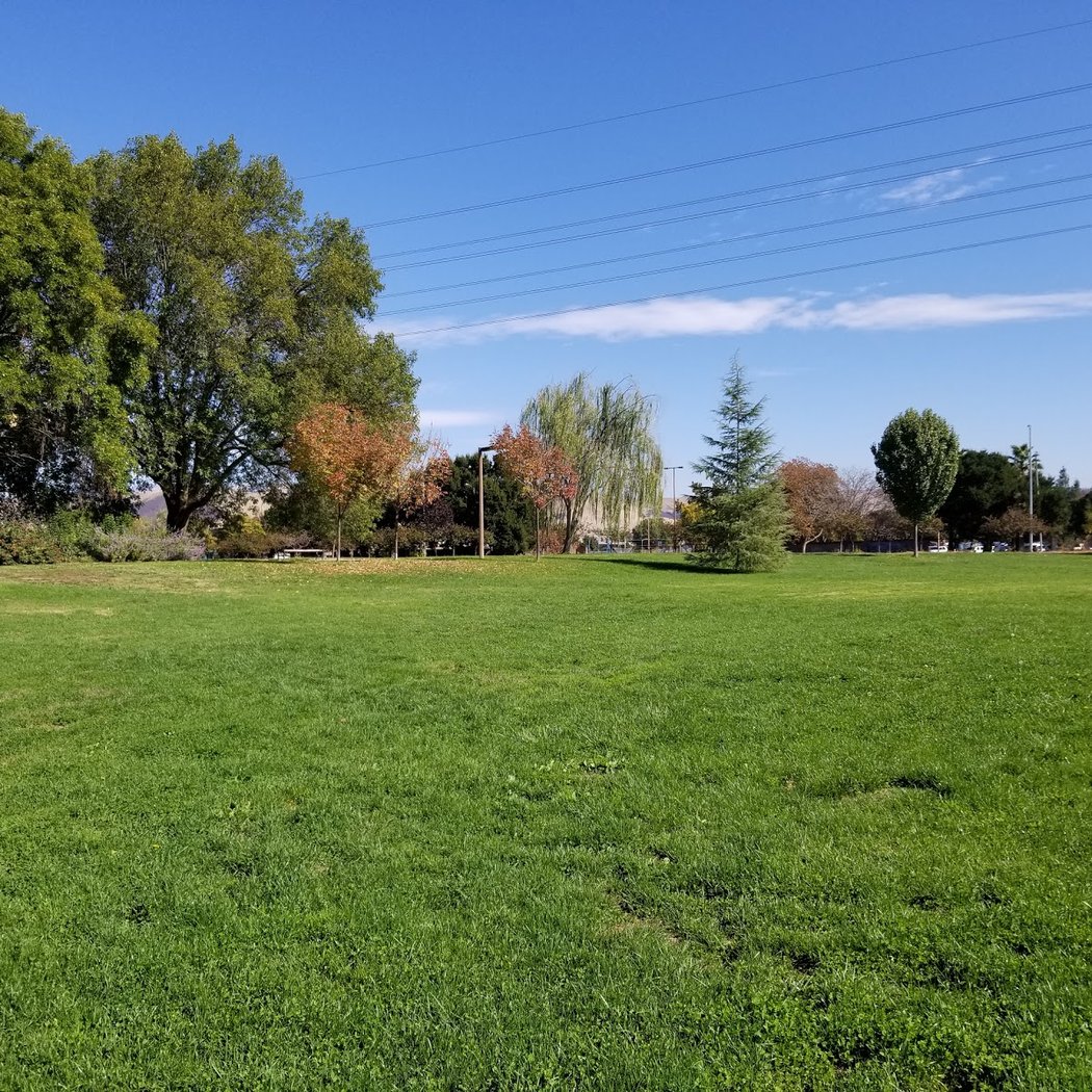 George Page Park 2