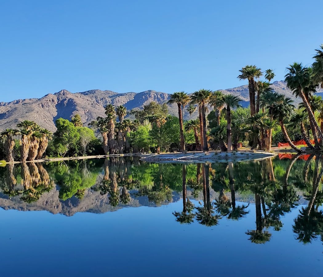 Agua Caliente Park 1