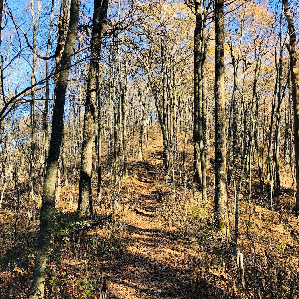 Unicoi Gap 4