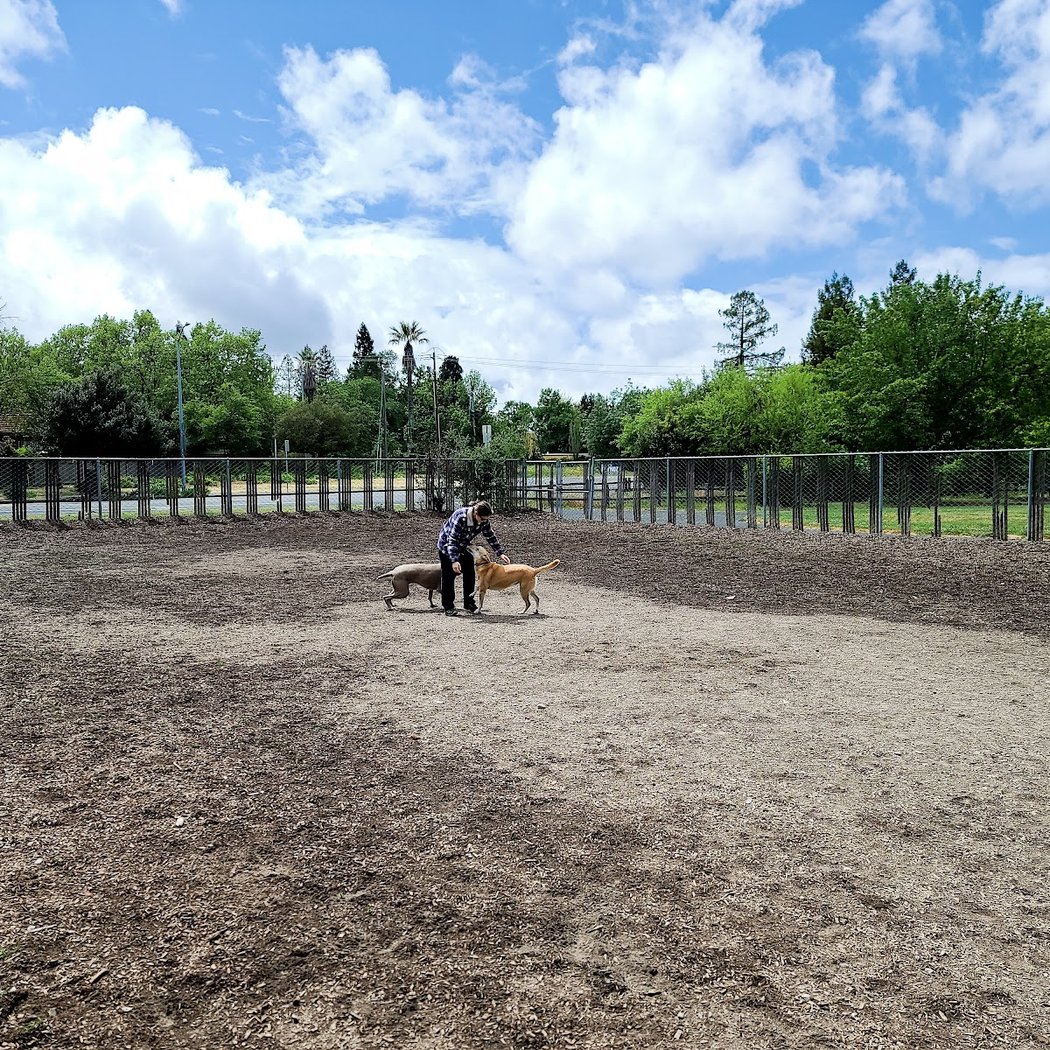 Charles "Chuck" Williams Memorial Dog Park 3