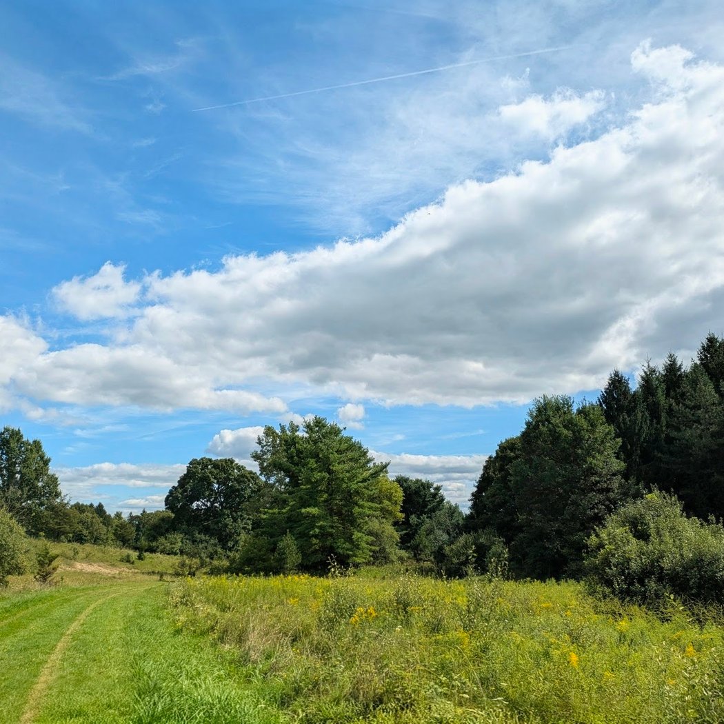 Dominican Meadows 1