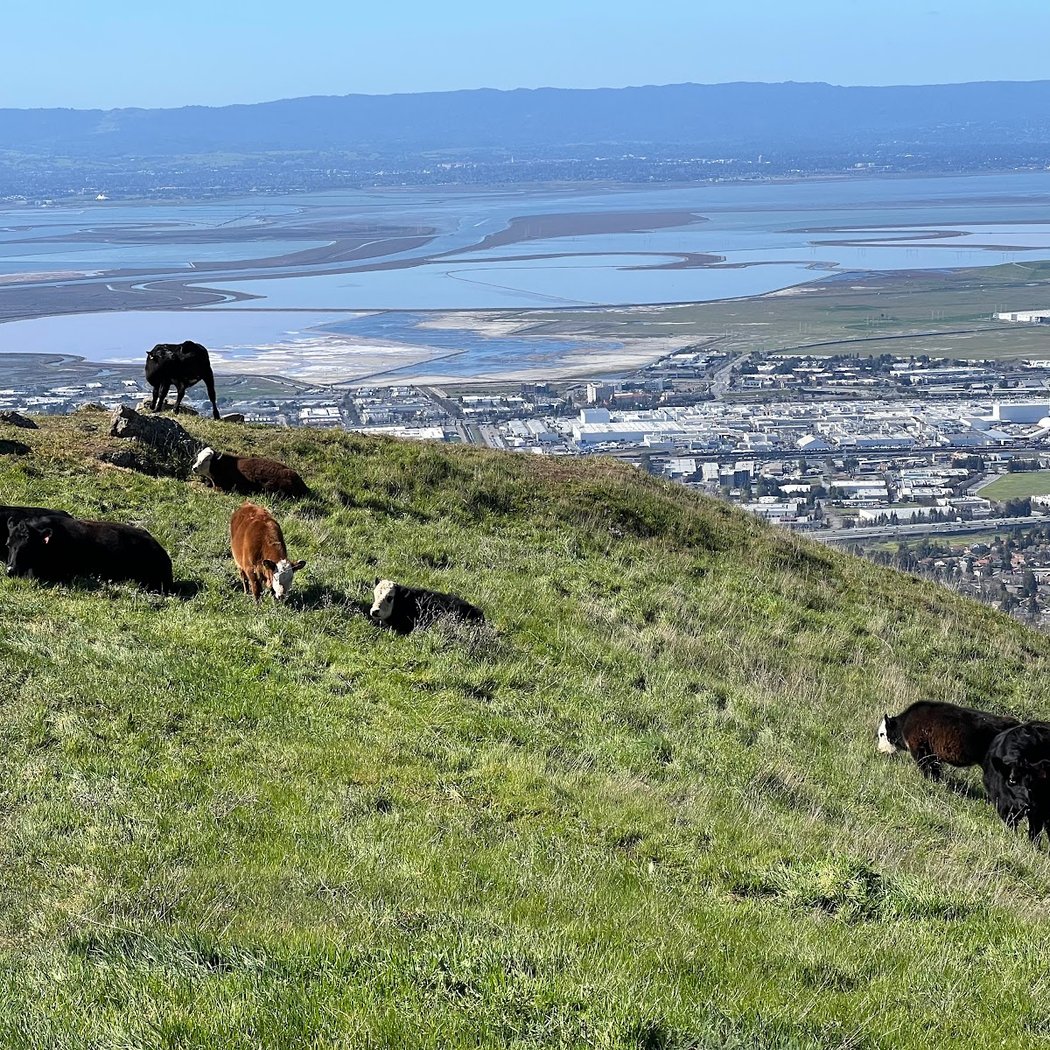 Mission Peak Trail Head 3