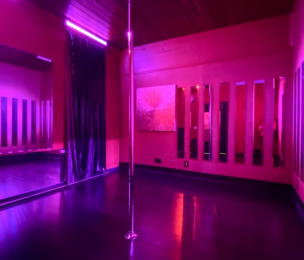 Sedusa Pole Dance Studio San Jose 3